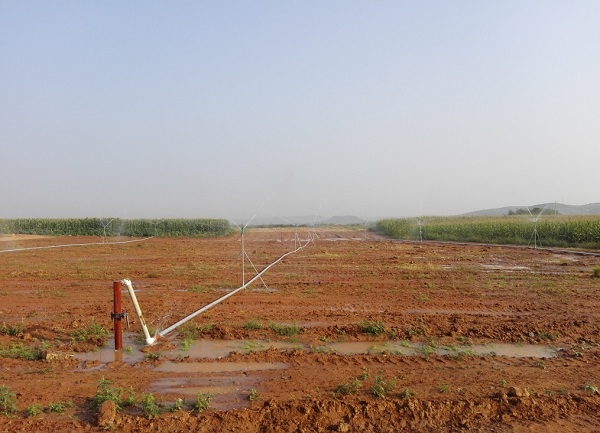 土壤水分速测仪具体使用步骤及注意点