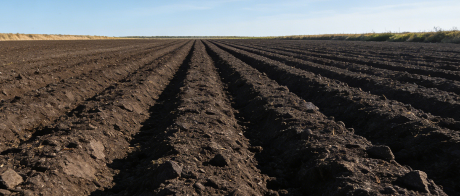 LD-TL100土壤团粒分析仪操作步骤:田间测土零基础指南